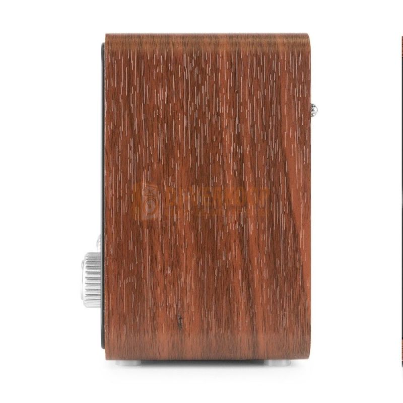 Audizio Foggia Retro DAB+ Radio series – Klassieke radio met moderne functies | DJ-Verkoop | 