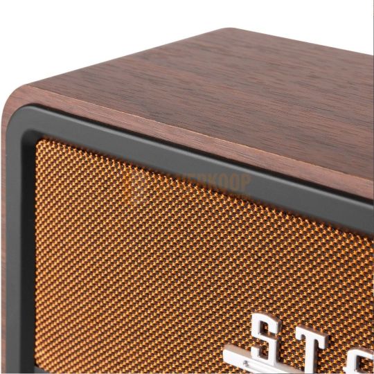 Audizio Foggia Retro DAB+ Radio series – Klassieke radio met moderne functies | DJ-Verkoop | 