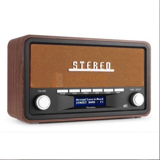 Audizio Foggia Retro DAB+ Radio series – Klassieke radio met moderne functies | DJ-Verkoop | 