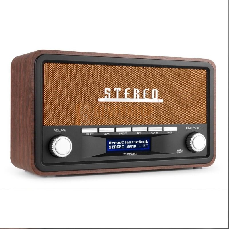 Audizio Foggia Retro DAB+ Radio series – Klassieke radio met moderne functies | DJ-Verkoop | 