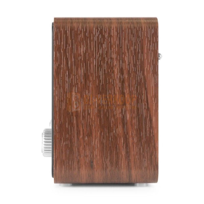 Audizio Foggia Retro DAB+ Radio series – Klassieke radio met moderne functies | DJ-Verkoop | 