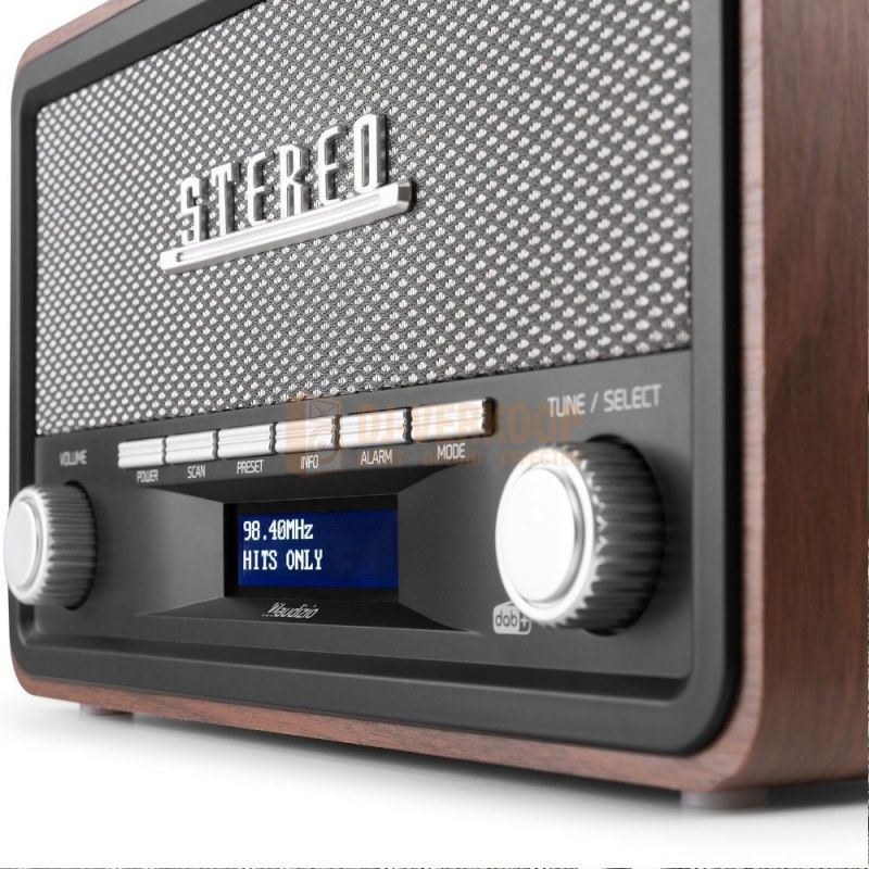 Audizio Foggia Retro DAB+ Radio series – Klassieke radio met moderne functies | DJ-Verkoop | 