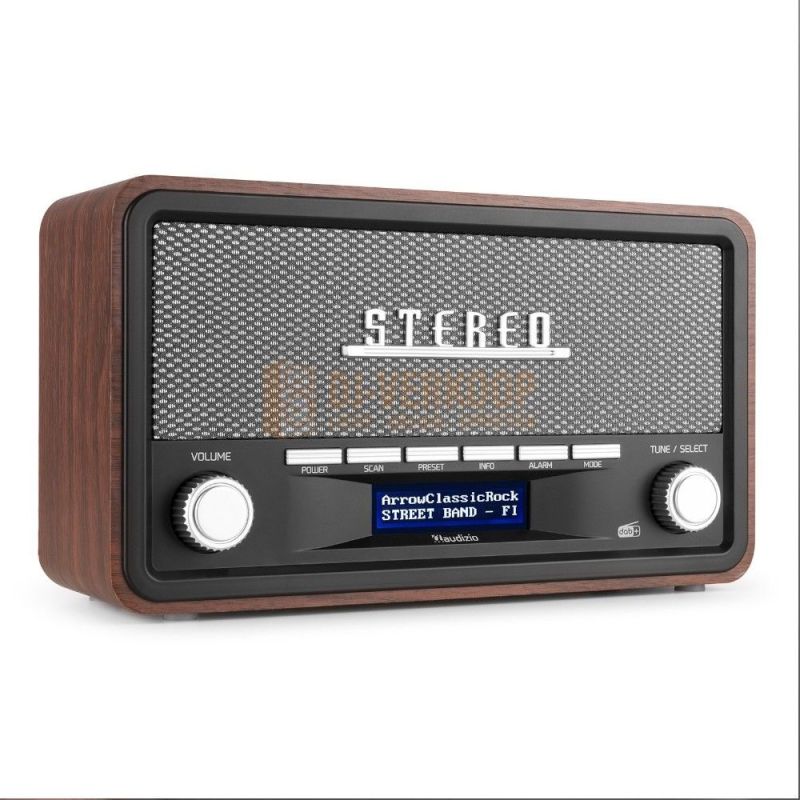 Audizio Foggia Retro DAB+ Radio series – Klassieke radio met moderne functies | DJ-Verkoop | 