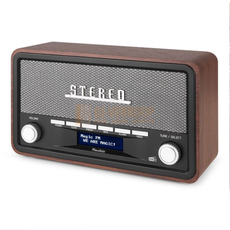 Audizio Foggia Retro DAB+ Radio series – Klassieke radio met moderne functies | DJ-Verkoop | 
